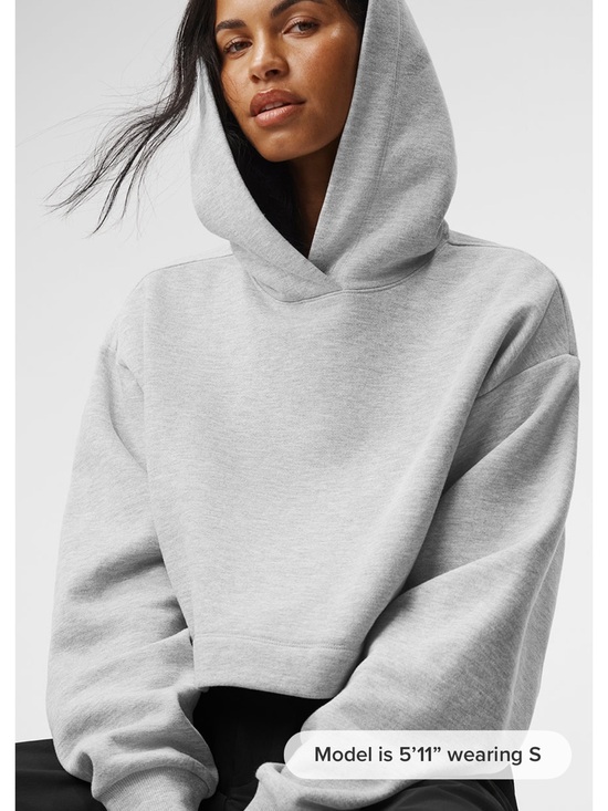ALO Yoga Tops - ALO Yoga Light Gray Cropped Hoodie